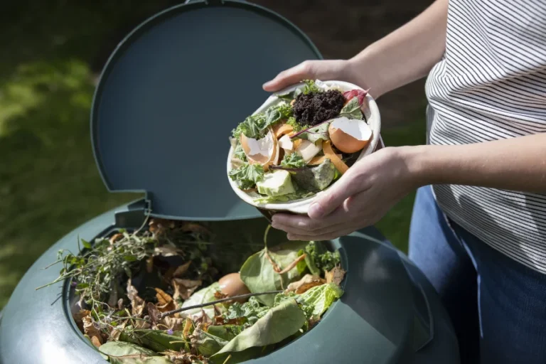 Duurzame woonideeën voor een groen thuis