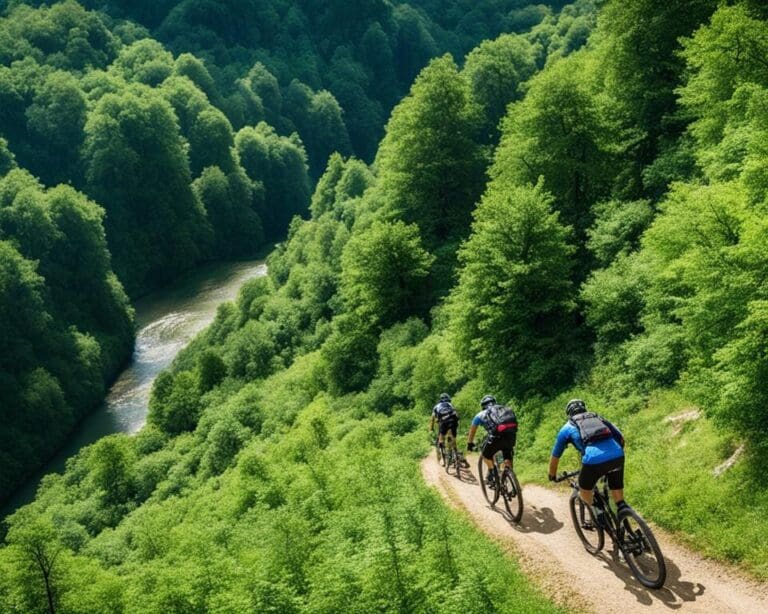 MTB Rondreis in de Luxemburgse Natuur